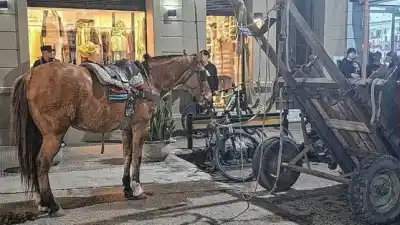 Un caballo colapsó en pleno centro: lo que hallaron al llegar dejó helados a todos