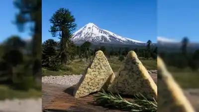 Dejó todo en Buenos Aires y creó un queso azul que es furor en la cordillera