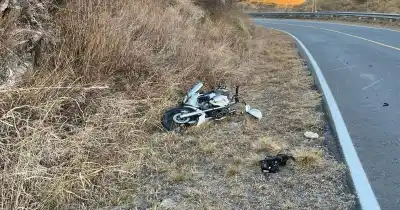 Impactó contra un caballo en la ruta y terminó internado: el insólito accidente en El Rodeo
