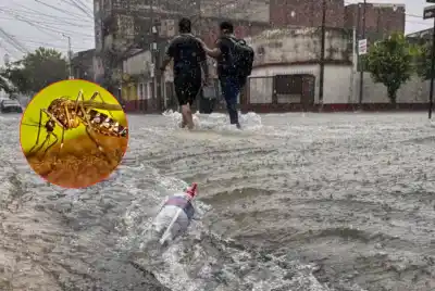 El Niño ya está aquí: Corrientes acelera la vacunación contra el dengue