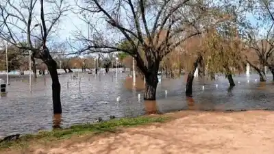 El Niño ya está aquí: ¿cómo impactará en el Litoral y qué riesgos trae?