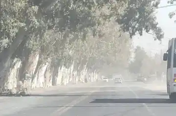 Alerta amarilla por viento Zonda en San Juan: las ráfagas más fuertes llegarán a esta hora