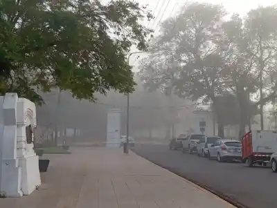 El manto blanco que tapó Corrientes: visibilidad reducida a 100 metros y un paisaje de película