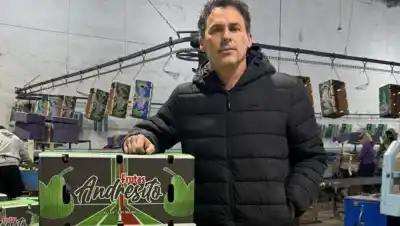 Del galpón de Allen a Brasil: la historia del productor que reinventó su negocio frutícola