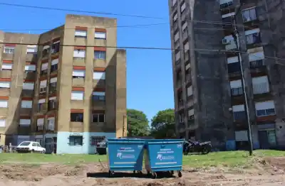 Una discusión terminó en tragedia: lanzaron a un perro desde un sexto piso en Bragado