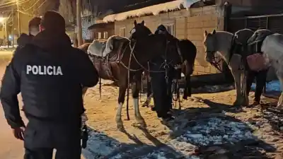 Tres jinetes fueron sorprendidos con liebres colgando de sus monturas: lo que pasó después