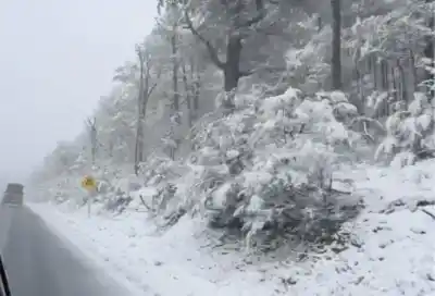 Nevadas en la cordillera: el paso Cardenal Samoré exige cadenas obligatorias