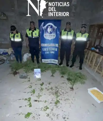 Allanamiento en Los Vallistos: incautan plantas de marihuana y ordenan captura de un sospechoso
