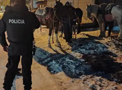 Lo que llevaban colgado de las monturas delató a tres jinetes en Chubut