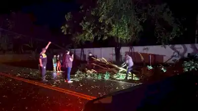 Un temporal con tormenta eléctrica azotó La Cocha y provocó la caída de árboles