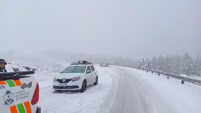 Caos en las rutas de Neuquén por nevadas: "Mucha gente no lleva cadenas"