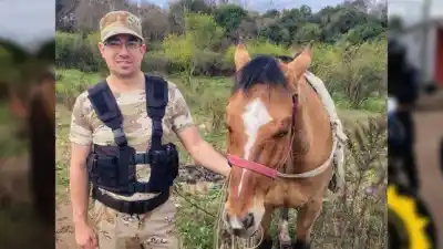Desapareció un caballo secuestrado por maltrato y lo encontraron en un operativo que sorprendió a todos
