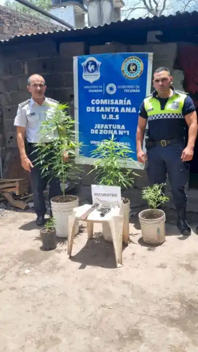 Allanamientos en Santa Ana por amenazas: incautaron armas blancas, una réplica de arma y marihuana