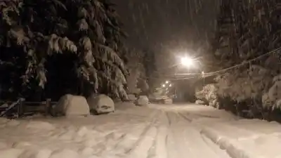 Alerta total: suspenden clases en la Comarca Andina por las intensas nevadas