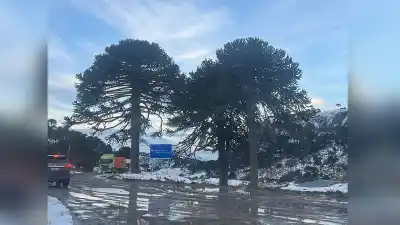 Esperaba para cruzar a Chile y se desplomó: la trágica muerte de un camionero en Pino Hachado
