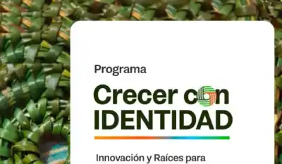 El Gobierno fueguino lanza un programa para emprendedores con identidad local: ¿cómo anotarse?
