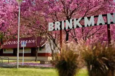 Brinkmann se prepara para celebrar el Día de la Pachamama con ecocanjes y música