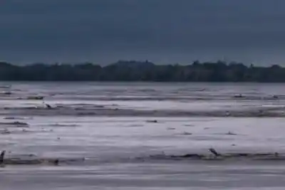 Alerta en Corrientes: la crecida del río Uruguay esconde un peligro invisible para los navegantes