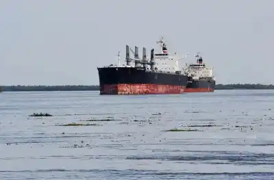 El plan de Milei para abrir los ríos a barcos extranjeros: ¿qué cambia con la Ley de Cabotaje?