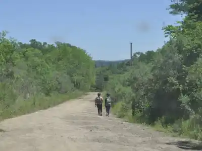 Semana arranca con calor y lluvias matinales en Misiones: ¿qué esperar del lunes?