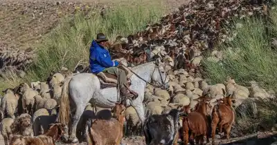 El secreto mejor guardado de Mendoza que cruza fronteras y desafía al tiempo