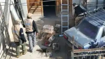 Eran más de 100 jaulas: lo que encontraron en una casa de Las Heras con ayuda de drones