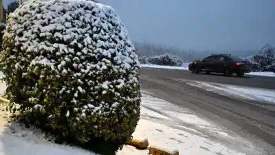 Lunes complicado en las rutas: cierres en la cordillera, niebla en el Alto Valle y pasos a Chile con restricciones