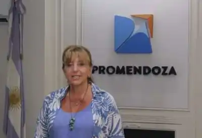 ¿Se corta el comercio con Brasil? La respuesta de ProMendoza que nadie esperaba