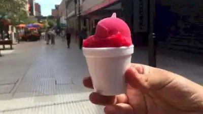 El Concejo de San Miguel de Tucumán declara a la achilata de interés turístico en medio de una fuerte polémica