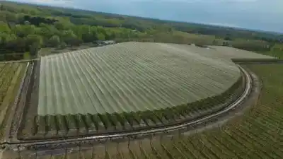 Un fondo de $39.000 millones: la apuesta de Río Negro para que el granizo no arruine más cosechas