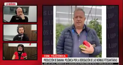 Alerta en Salta: productores bananeros temen que una plaga acabe con todo tras eliminar controles sanitarios
