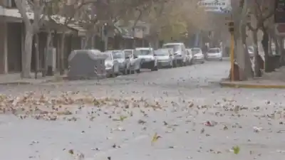 Viento Zonda en San Juan: la hora exacta en que pegará más fuerte y cómo protegerse