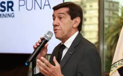 Alerta en el NOA: la eliminación de una norma sanitaria pone en jaque a los productores bananeros