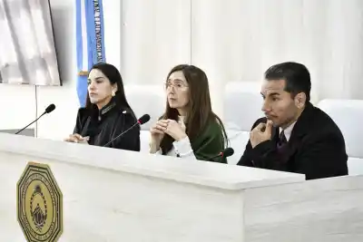 Declaró la última testigo y el juicio por abuso sexual quedó al borde de la sentencia