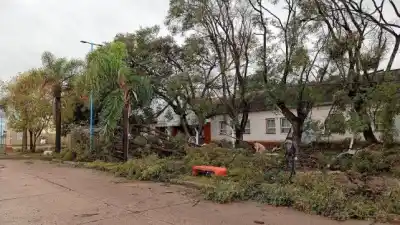 La solidaridad no descansa: así asisten los vecinos a las familias que perdieron todo en La Criolla