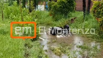 Madrugada accidentada en Monteros: cuatro personas hospitalizadas tras caer con su auto a una zanja