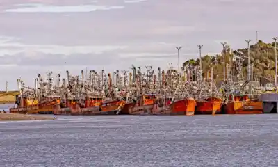 El duro revés que espera la pesca: la Justicia define si la «ficha limpia» es inconstitucional