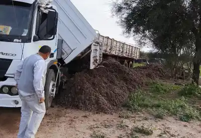 El municipio de J.J. Castelli ya traslada perilla de algodón a los ladrilleros de Zaparinqui