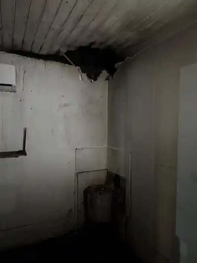 El peligro oculto de una salamandra: lo que encontraron los bomberos en una casa rural
