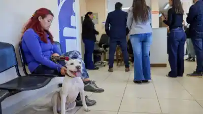 Agenda completa: el Móvil Veterinario de Las Heras llega a El Algarrobal con servicios gratuitos