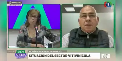 Crisis vitivinícola en La Rioja: productores no cosechan y empresas analizan cerrar