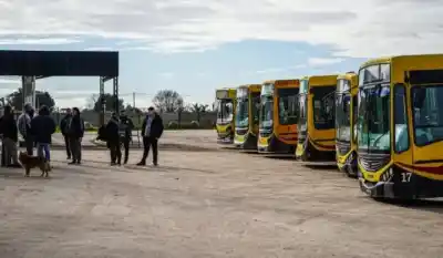 El drama de los choferes de Necochea: sin sueldo completo y con el aguinaldo pendiente