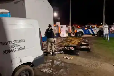 Encontraron más de una tonelada de pescado en un camión y lo que vieron los dejó helados