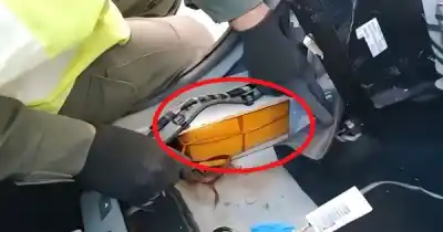 Huesos, patas de animales y 61 kilos de cocaína: la insólita banda que operaba entre Jujuy y Salta