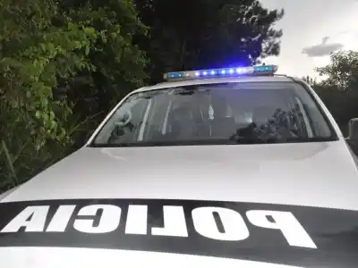 El emotivo paso a paso de los siete hermanos rescatados: vuelven a la escuela y redireccionan sus asignaciones