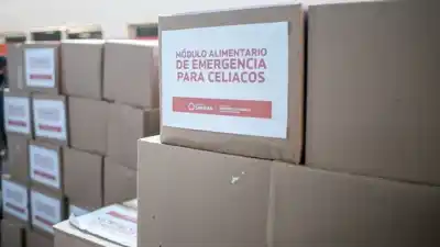 Atención celíacos: el paso clave que tenés que dar para no perder el módulo alimentario