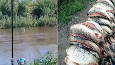 Denuncian pesca ilegal en el río Marapa y exigen más controles en Tucumán