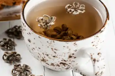 ¿Te animás a descubrir los rincones más cálidos de Merlo? El circuito de casas de té que tenés que probar este invierno