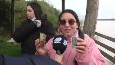 Encontraron 48 fósiles en tres días: lo que revelan las maderas petrificadas del río Uruguay