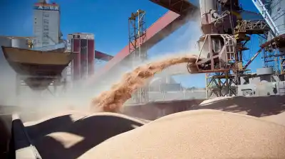 El cambio que pide el campo para destrabar inversiones y que ya tiene apoyo en el Senado